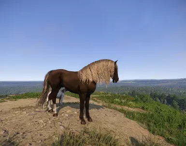 《天国：拯救2》鲱鱼黑马MOD