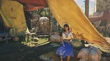 《怪物猎人：荒野》菲丽琪塔替换娜塔MOD