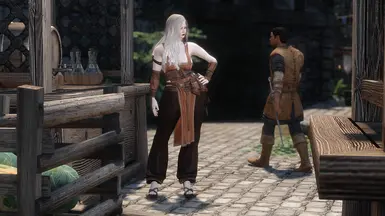 《上古卷轴5：天际重制版》优雅商人服装MOD