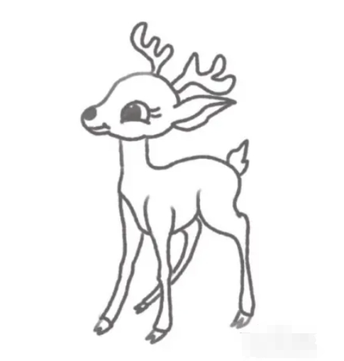 sketchbook怎么画梅花鹿