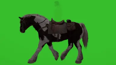 《上古卷轴5：天际重制版》马匹动画大修MOD