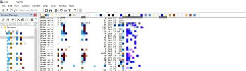 SecureCRT窗口最大化怎么还原