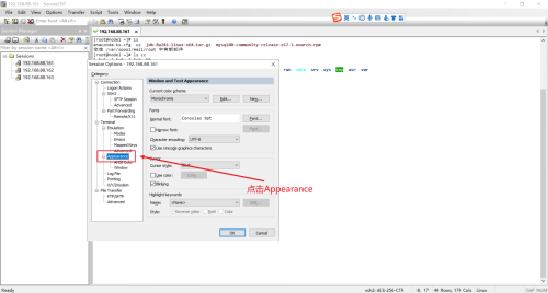 SecureCRT如何设置字体大小