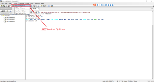 SecureCRT如何设置字体大小