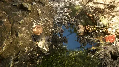 《光与影：33号远征队》改进的反射MOD