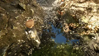 《光与影：33号远征队》改进的反射MOD