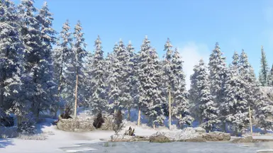 《上古卷轴5：天际重制版》雪花云杉MOD