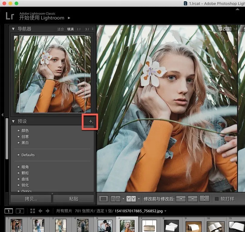 Adobe Lightroom预设怎么导入