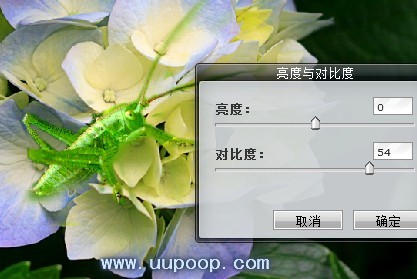 Photoshop CS3怎么拼图
