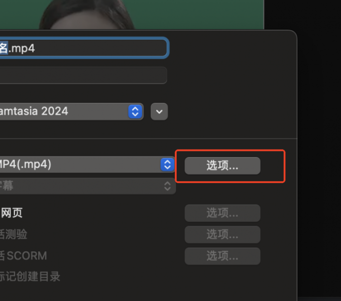 Camtasia如何设置导出分辨率