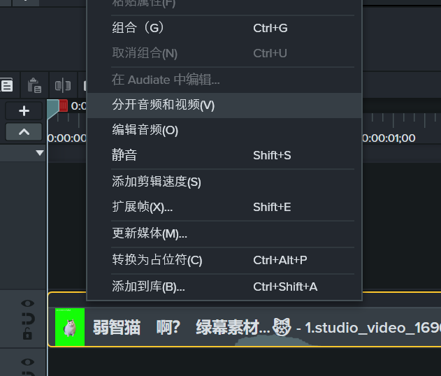 Camtasia Studio音频一打开就关掉