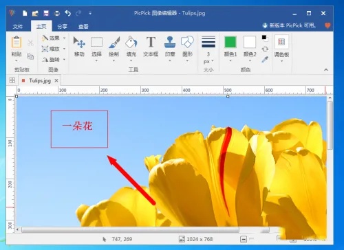 picpick如何将文字插入图中
