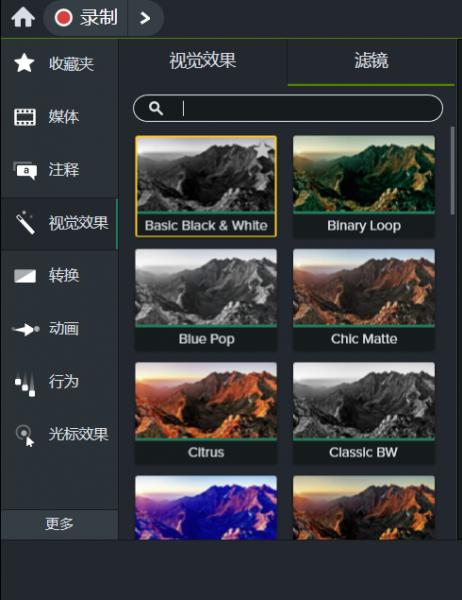 Camtasia2024内置滤镜有哪些