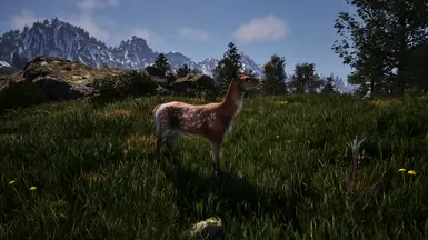 《上古卷轴4：湮灭重制版》野生动物必不可少MOD