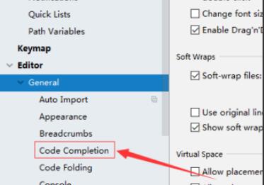 IntelliJ IDEA怎样设置在完成时显示参数名称提示