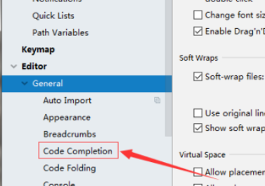 IntelliJ IDEA怎样设置在完成时显示参数名称提示