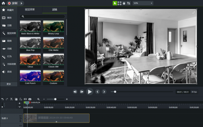 Camtasia2024滤镜怎么用