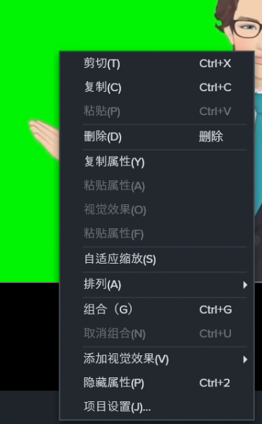 Camtasia如何让视频与画布满屏