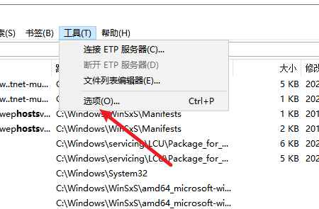 Everything怎么设置搜索结果排序规则