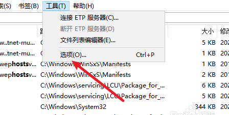 Everything如何设置搜索索引
