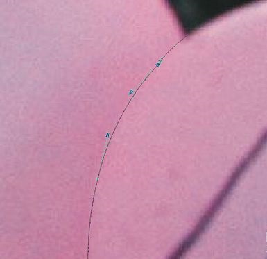 CorelDRAW永久免费版