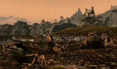 《上古卷轴5：天际重制版》天际的蟾蜍和青蛙MOD