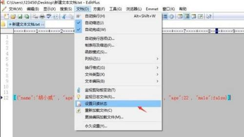 editplus怎么设置只读状态