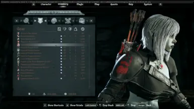 《上古卷轴4：天际重制版》显示级别MOD