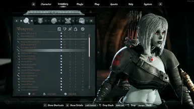 《上古卷轴4：天际重制版》显示级别MOD