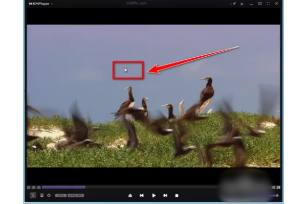 kmplayer plus怎么导入字幕