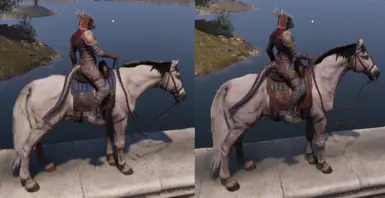 《上古卷轴4：湮灭重制版》蓝色马鞍布MOD