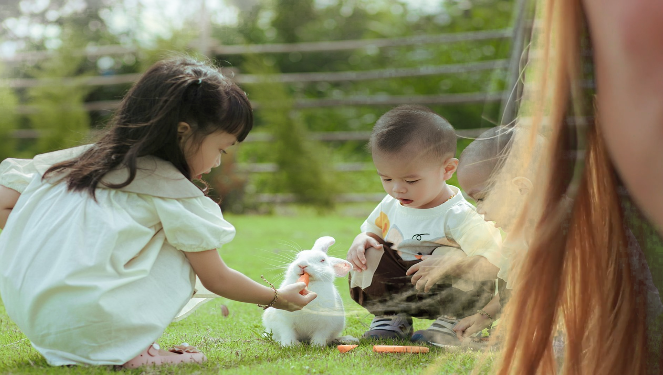 Camtasia怎么更换人像背景