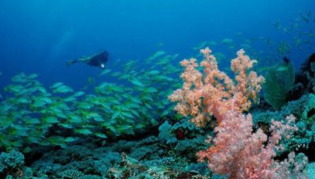 会声会影x10如何使用轨道透明度功能