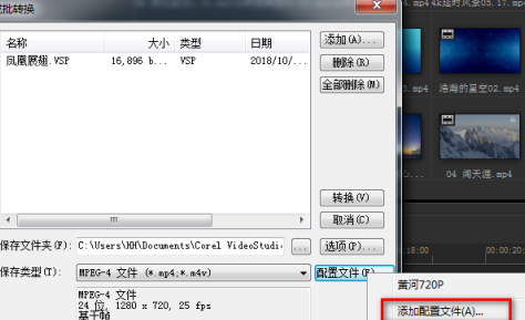 会声会影x9怎么成批转换视频