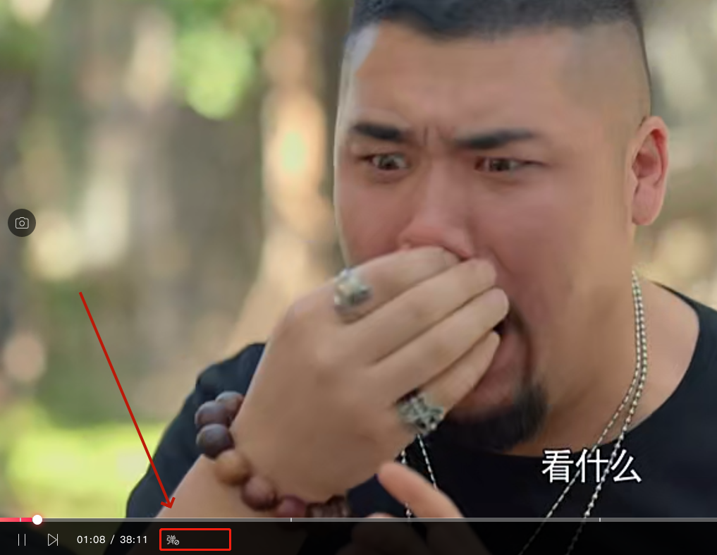 搜狐影音弹幕怎么设置