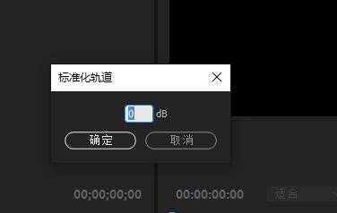 Pr怎么添加标准化轨道