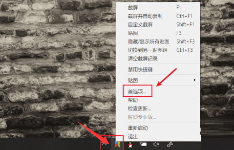 Snipaste怎么设置环境遮罩色