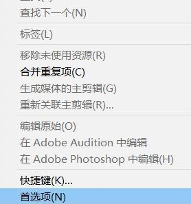 Adobe Premiere pro 2020怎么将外观更改为亮色