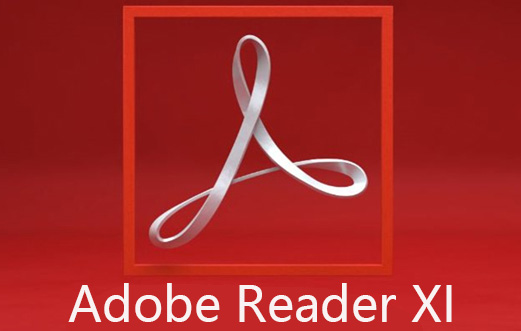 Adobe Reader XI怎么设置双面打印
