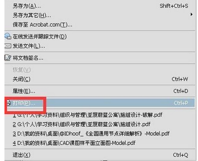 Adobe Reader XI怎么设置双面打印