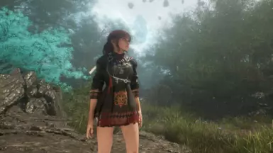 《光与影：33号远征队》剑星伊芙黑色正装MOD