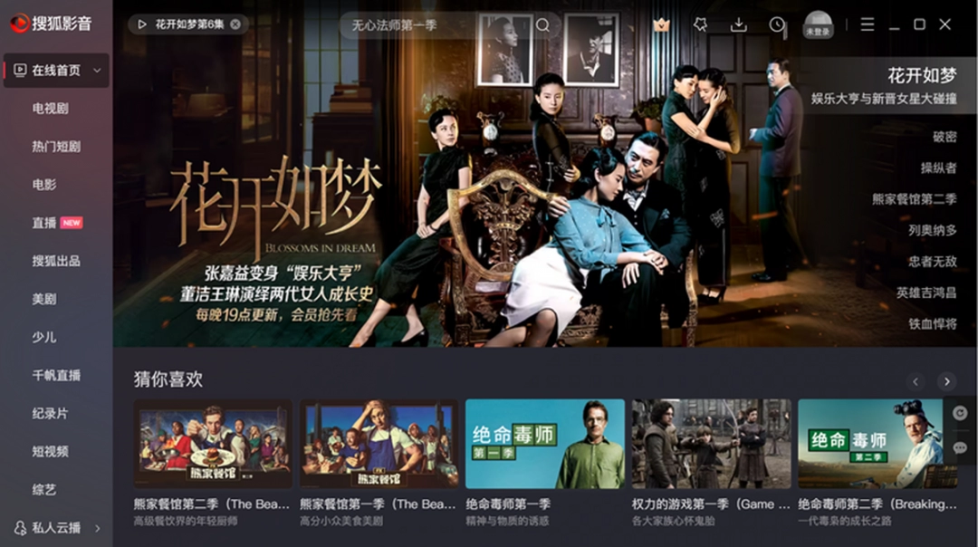 搜狐影音官方版