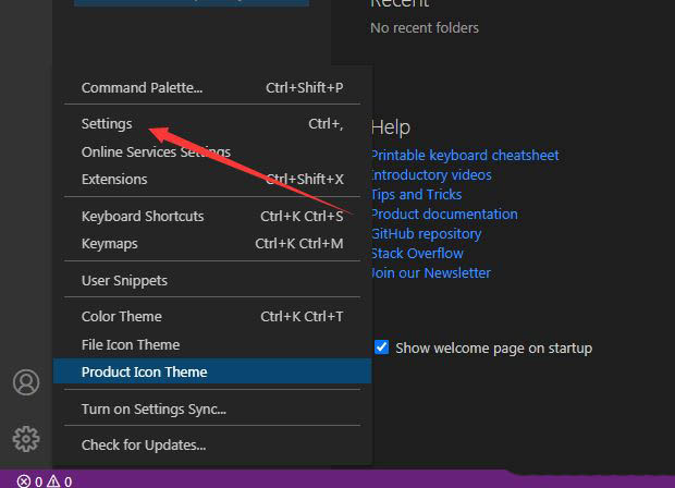 VSCode类型参数怎么显示