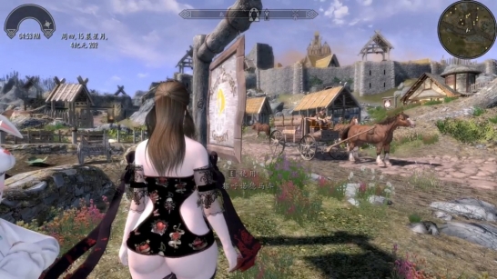 《上古卷轴5：天际重制版》添加呼叫马车时的音效MOD