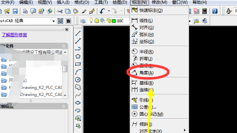 AutoCAD2007怎样标注角度
