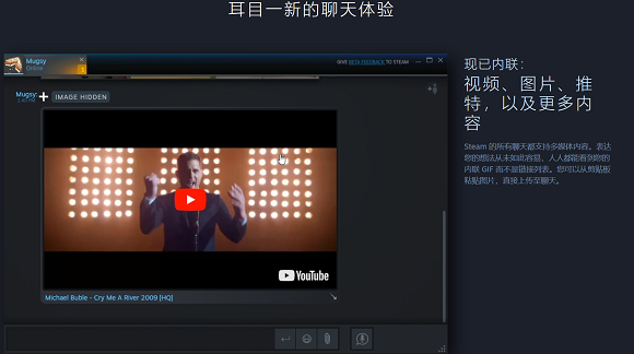 Steam电脑版v2.10.91.9