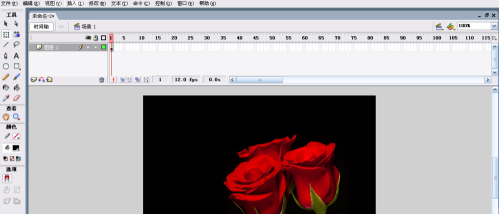 Macromedia Flash 8如何制作动态贺卡