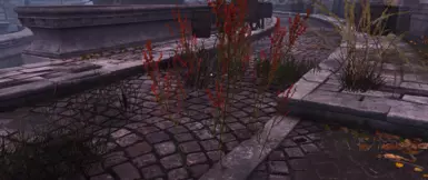 《上古卷轴4：湮灭重制版》康纳的植物群MOD