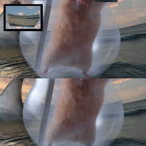 如何用PS合成海盗鼠船长