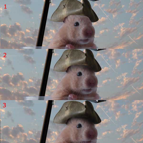 如何用PS合成海盗鼠船长